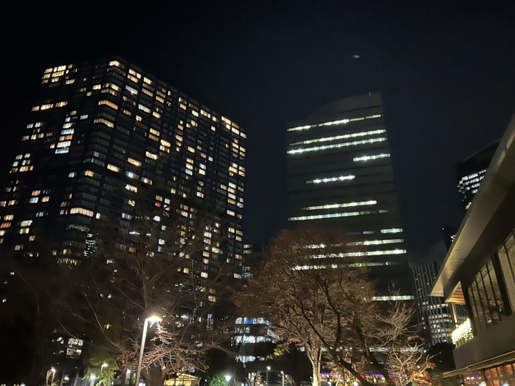 Easy walking path to the Tokyo Metropolitan Government Building.