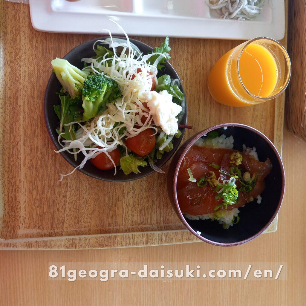 A fresh tuna rice bowl (Tekka-don) featuring thick slices of locally caught raw tuna in Katsuura.
