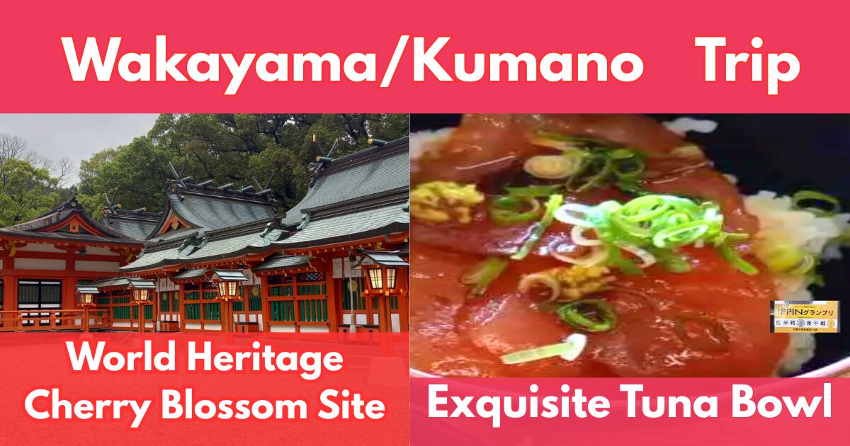 Travel guide cover showing Kumano Hayatama Taisha Shrine and a fresh tuna bowl from Katsuura, Wakayama.