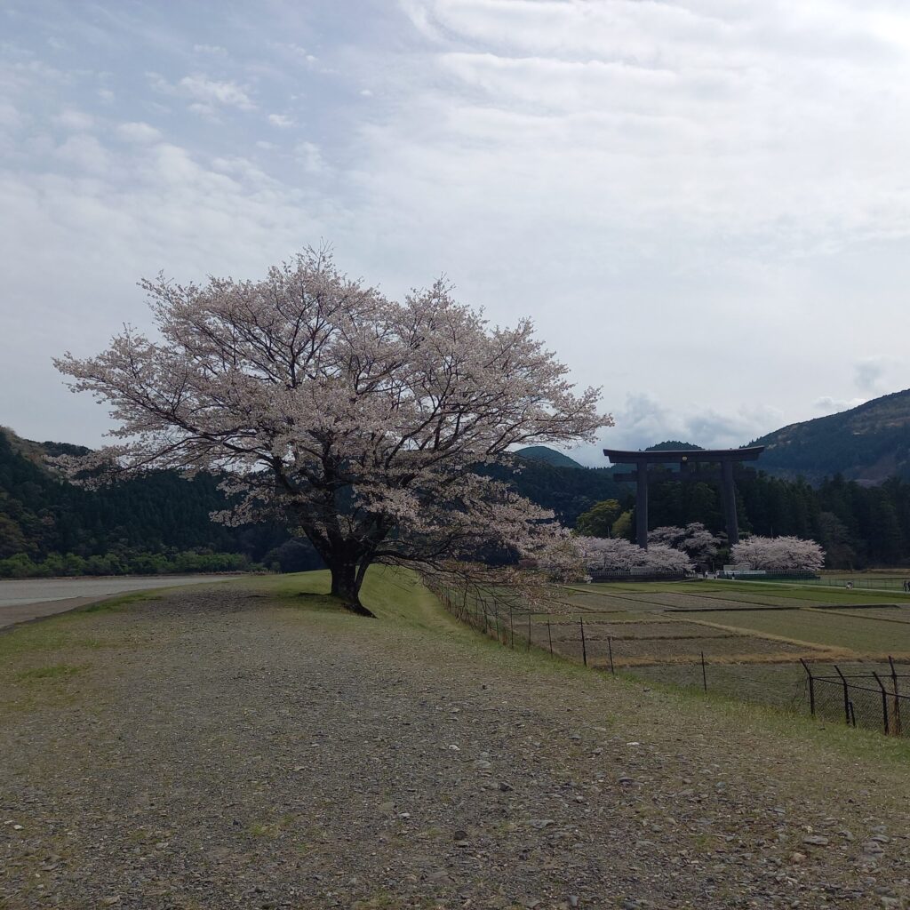 View from the embankment near Oyunohara — the torii gate and river scenery