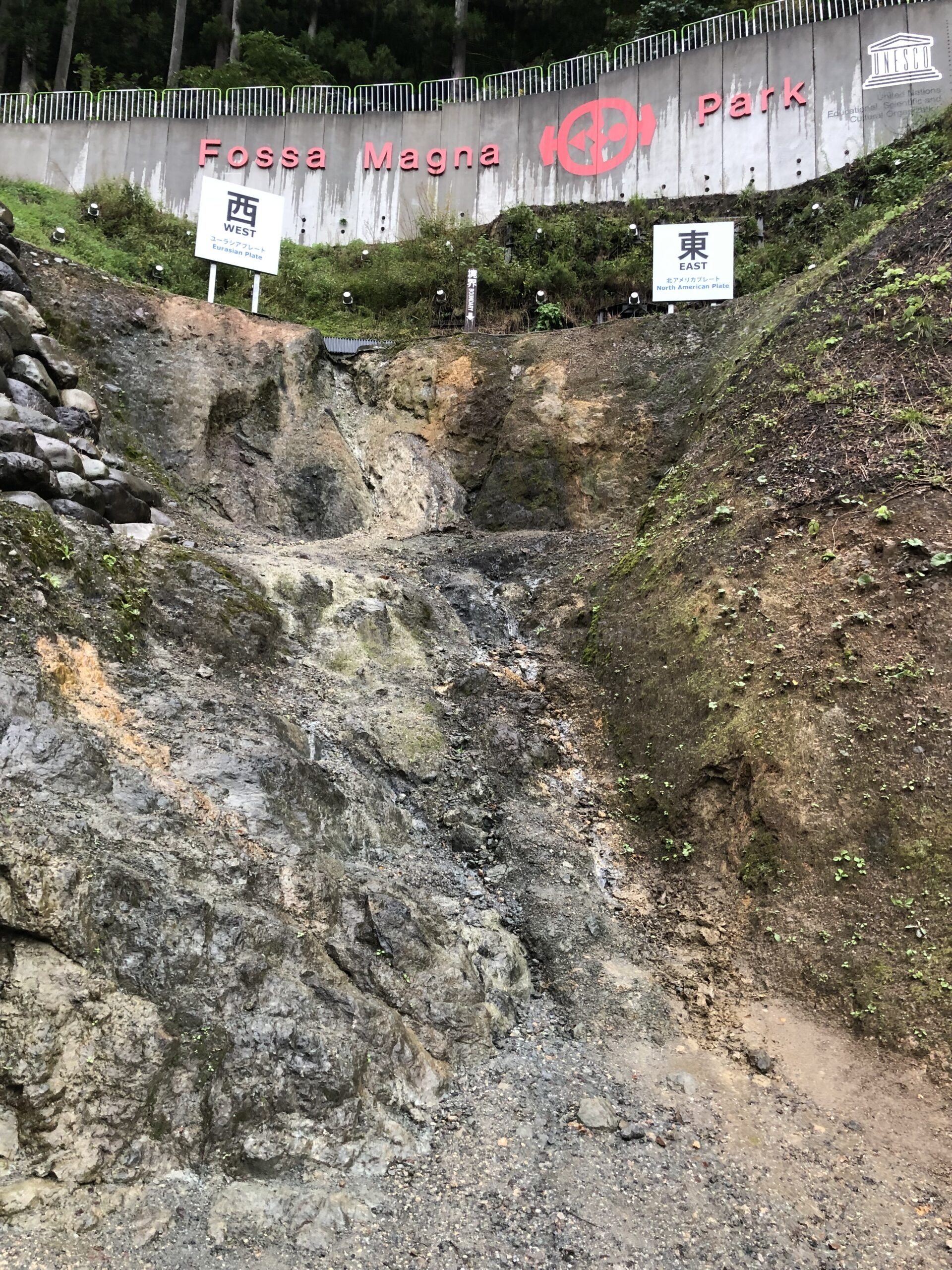 The exposed fault outcrop at Fossa Magna Park in Itoigawa, showing the dramatic contrast between the older Eurasian Plate rocks on the west side (left) and the younger North American Plate rocks on the east side (right), with West (西) and East (東) markers visible above.