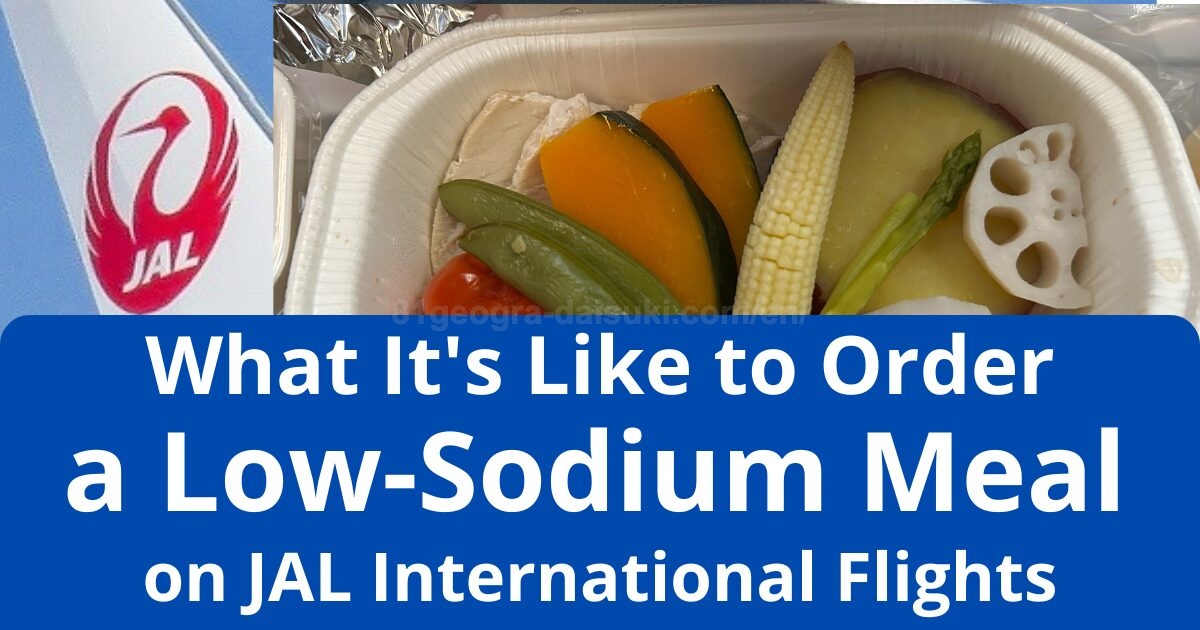 JAL International Flight Low Sodium Meal (LSML) Review