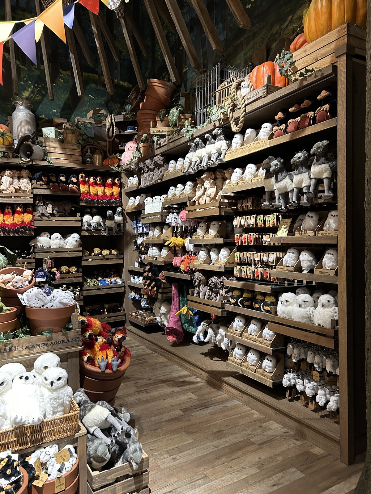 A wall filled with Harry Potter creature plush toys and character gifts